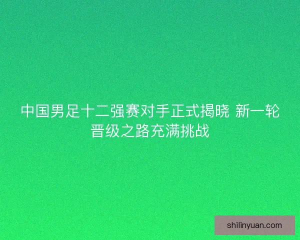 中国男足十二强赛对手正式揭晓 新一轮晋级之路充满挑战