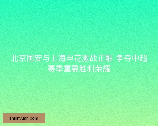 北京国安与上海申花激战正酣 争夺中超赛季重要胜利荣耀