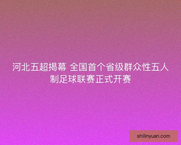 河北五超揭幕 全国首个省级群众性五人制足球联赛正式开赛