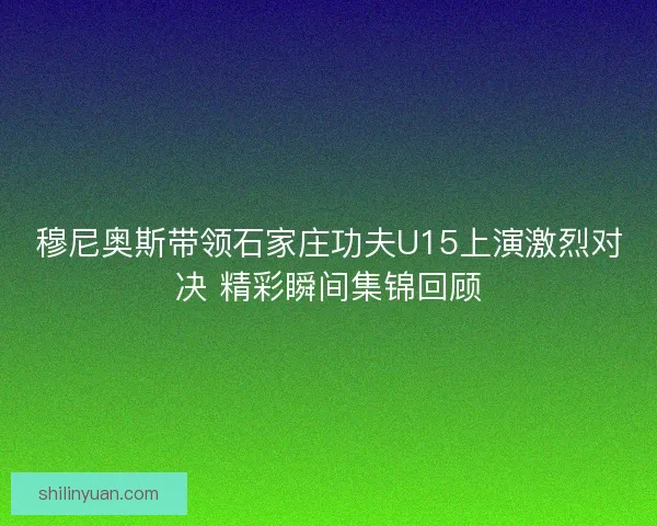 穆尼奥斯带领石家庄功夫U15上演激烈对决 精彩瞬间集锦回顾