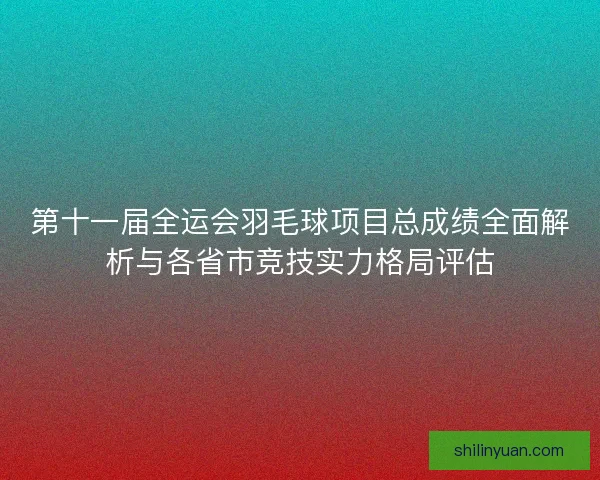 第十一届全运会羽毛球项目总成绩全面解析与各省市竞技实力格局评估