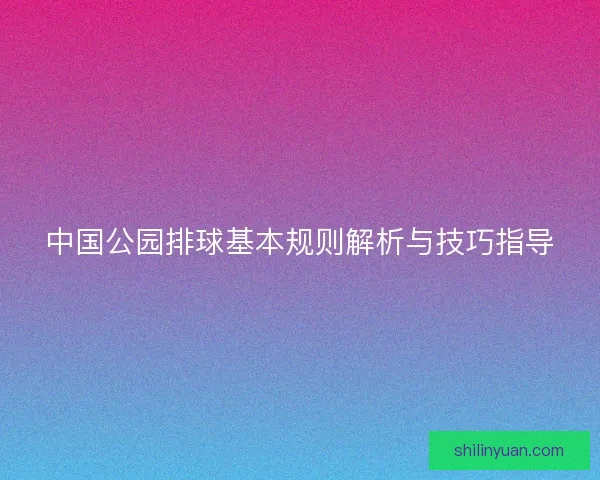 中国公园排球基本规则解析与技巧指导 中国公园排球基本规则解析与技巧指导